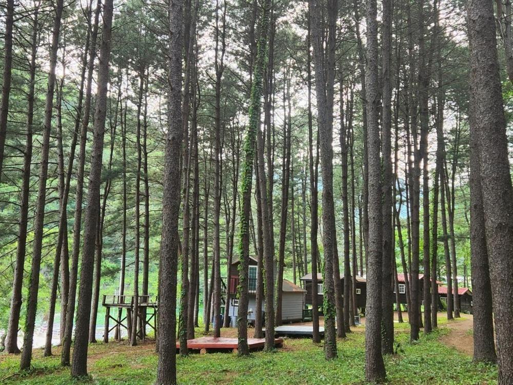 Hongcheon Gongjaksan Recreational Forest Pension Luaran gambar