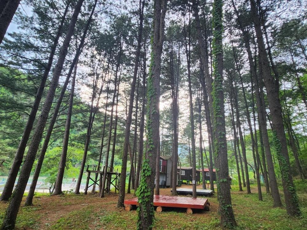 Hongcheon Gongjaksan Recreational Forest Pension Luaran gambar